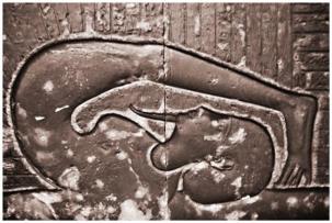 how to practice yoga, mindfulness, meditation, yoga, asana