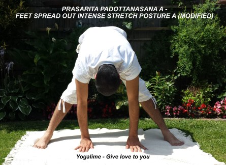 Prasarita Padotttansasana A at yogalime