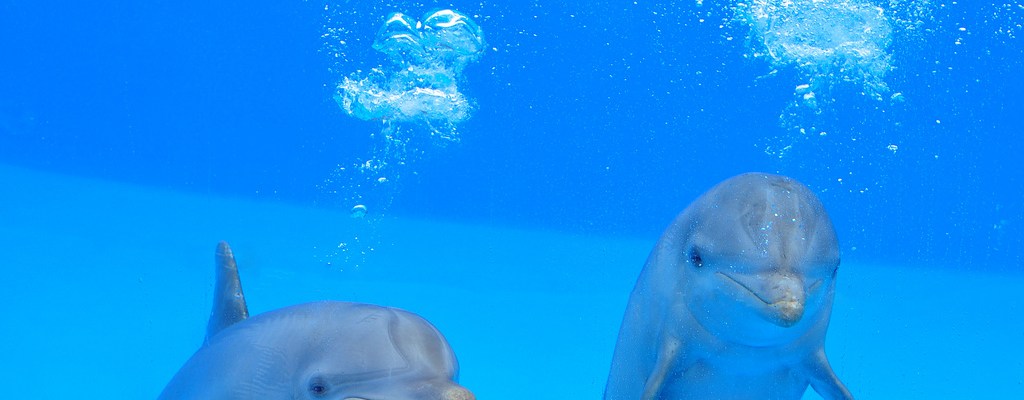 yoga breathing and fear